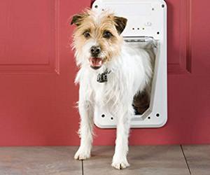 Porta elettronica SmartDoor di PetSafe
