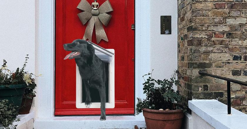 ANIMALE PERFETTO La porta per cani wifi ad energia per tutte le stagioni